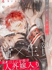 夏目友人帐漫画卡片配图